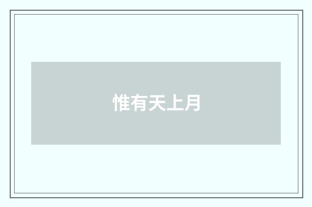 惟有天上月