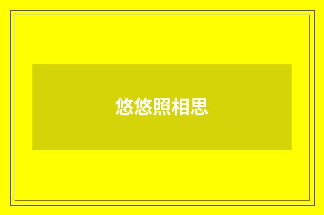 悠悠照相思