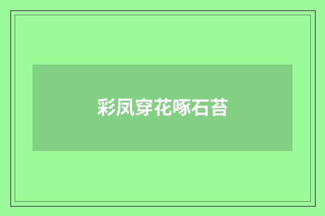 彩凤穿花啄石苔