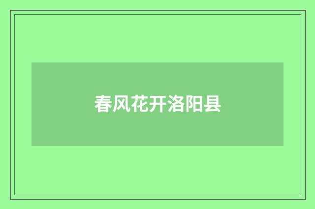 春风花开洛阳县