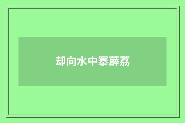 却向水中搴薜荔