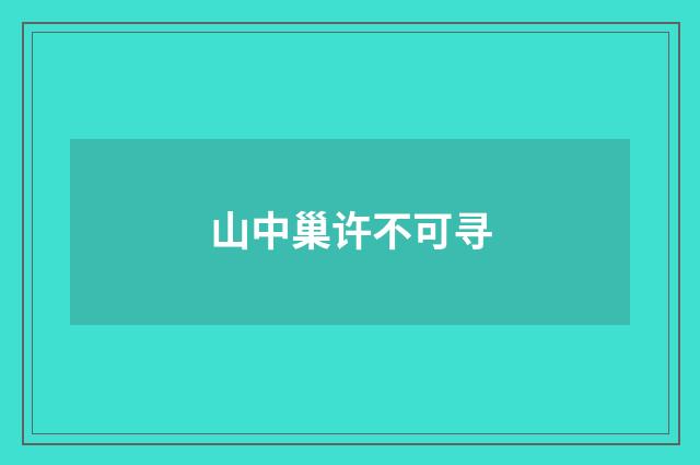 山中巢许不可寻