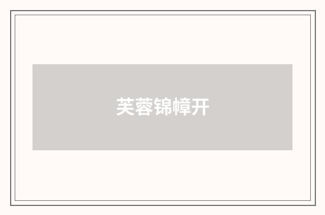 芙蓉锦幛开
