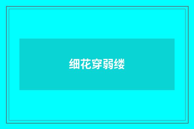 细花穿弱缕