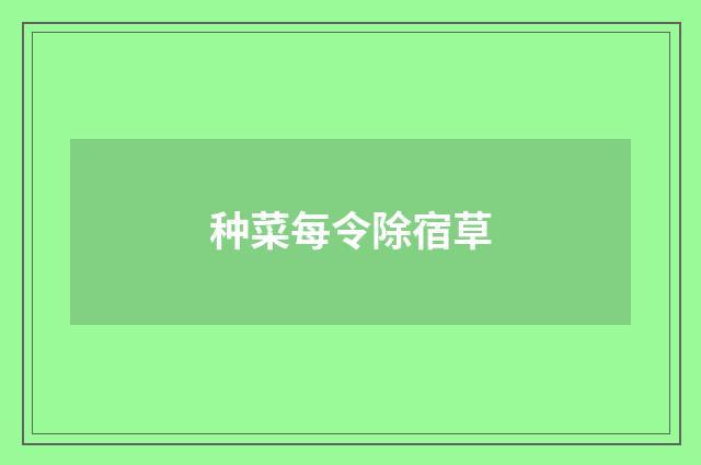 种菜每令除宿草