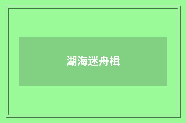 湖海迷舟楫