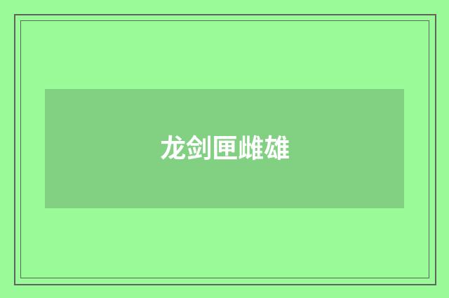 龙剑匣雌雄