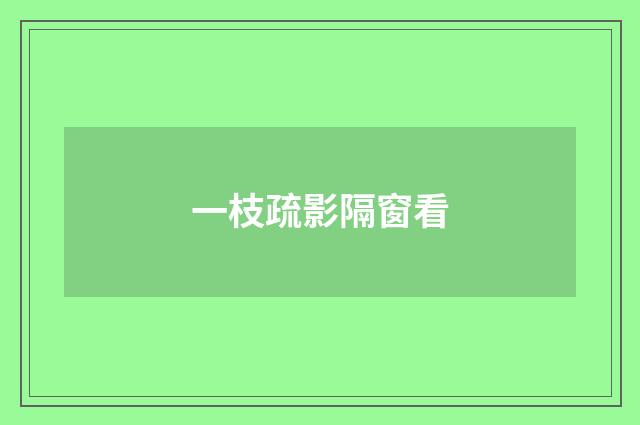 一枝疏影隔窗看