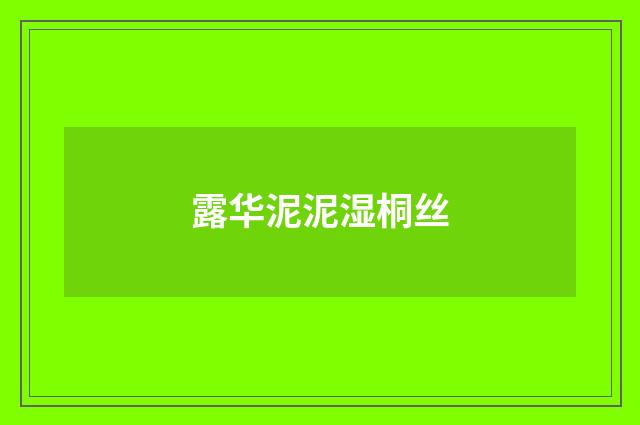 露华泥泥湿桐丝