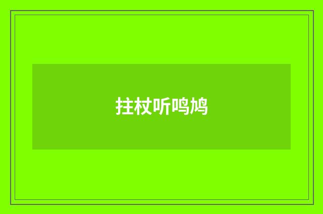 拄杖听鸣鸠