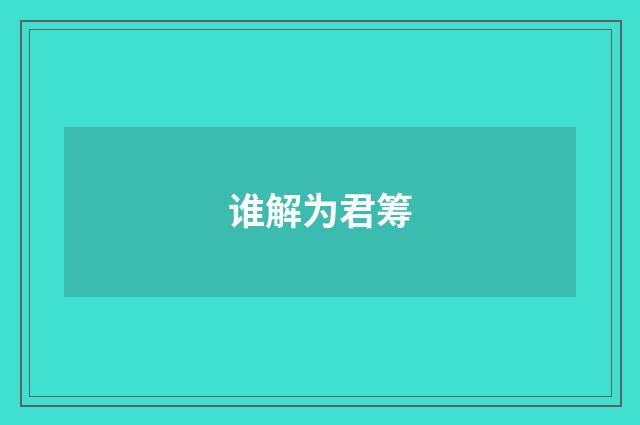 谁解为君筹