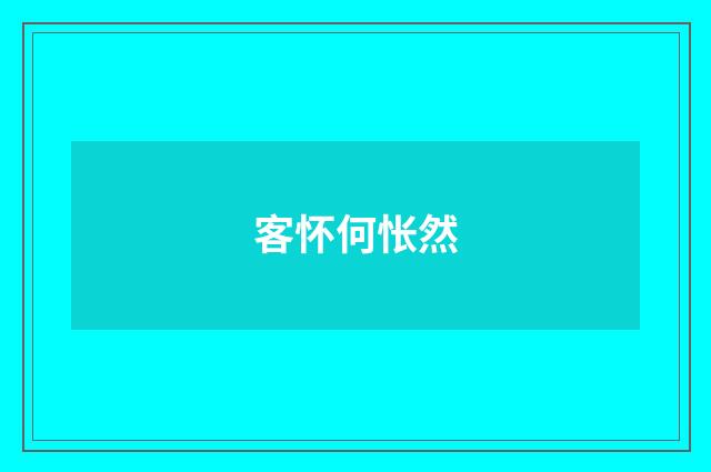 客怀何怅然
