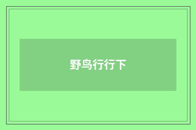 野鸟行行下