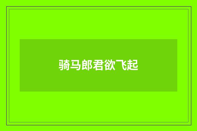 骑马郎君欲飞起