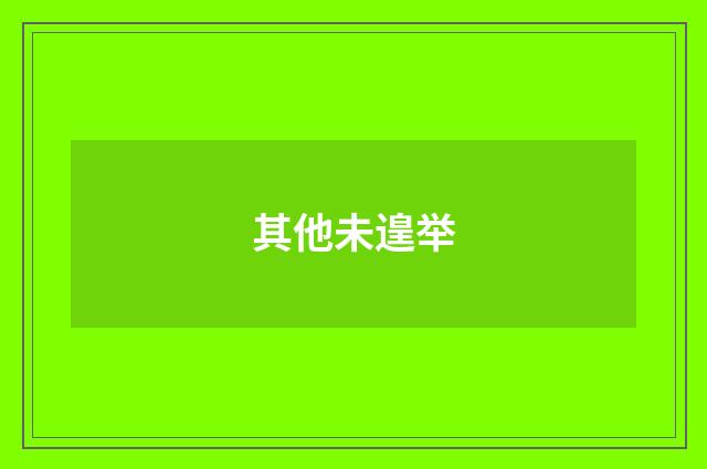 其他未遑举