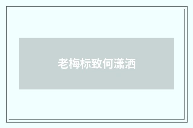 老梅标致何潇洒
