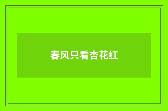 春风只看杏花红