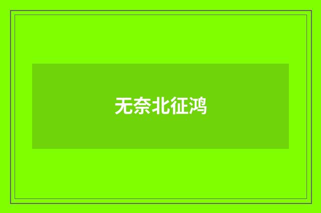 无奈北征鸿