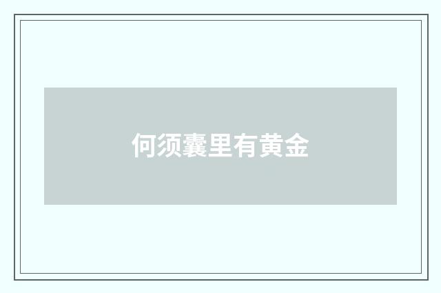 何须囊里有黄金