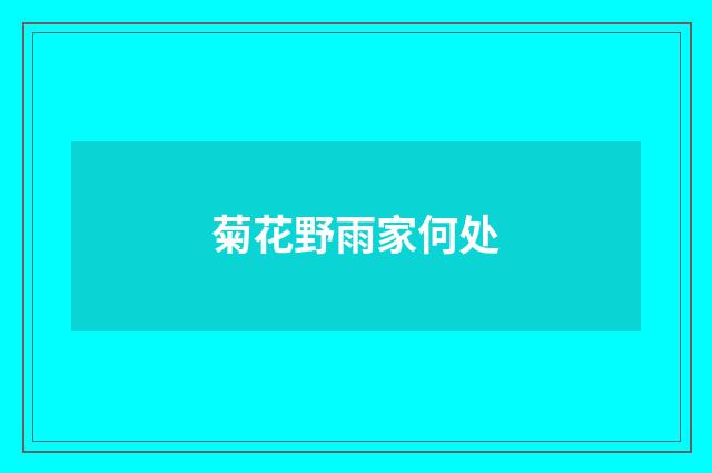 菊花野雨家何处