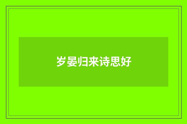 岁晏归来诗思好