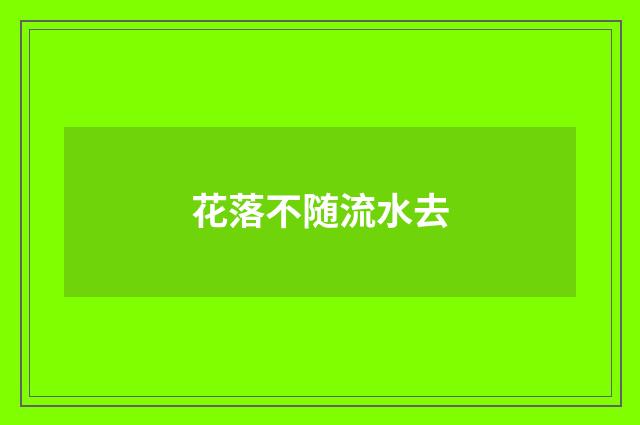 花落不随流水去