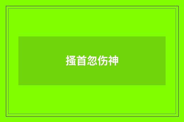 搔首忽伤神