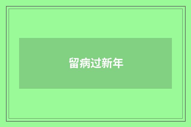 留病过新年