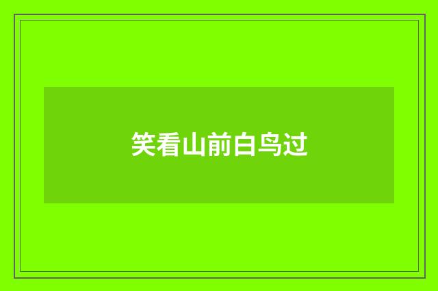 笑看山前白鸟过