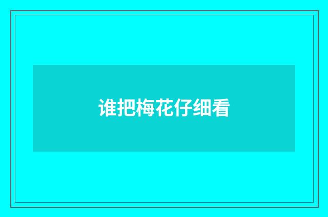 谁把梅花仔细看