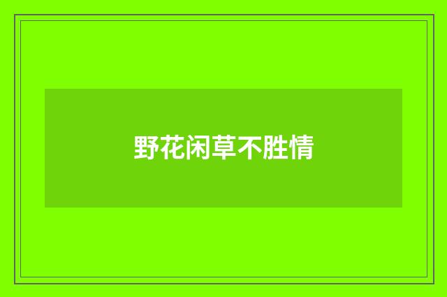 野花闲草不胜情
