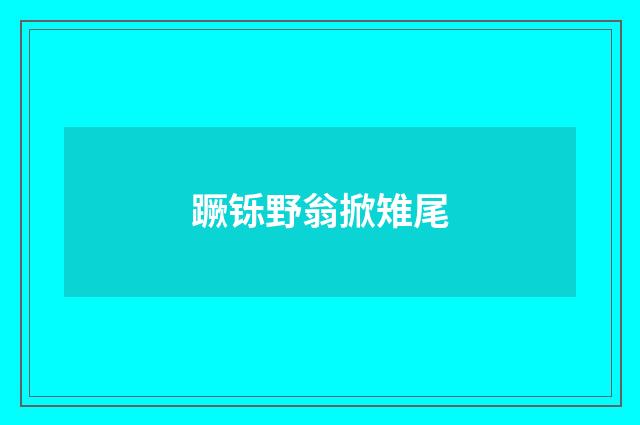 蹶铄野翁掀雉尾
