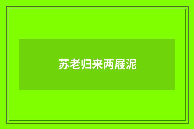 苏老归来两屐泥