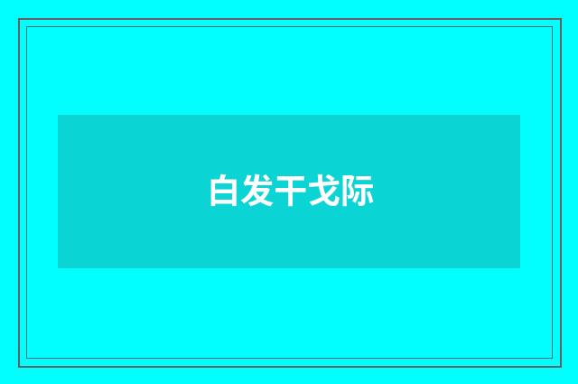 白发干戈际