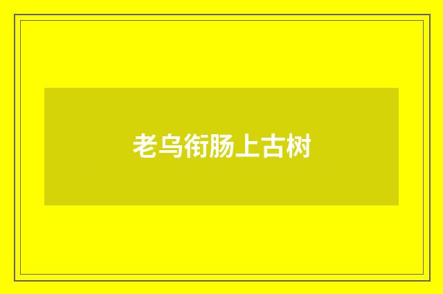 老乌衔肠上古树