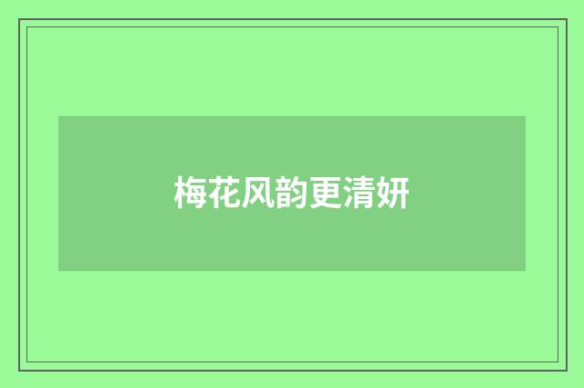 梅花风韵更清妍