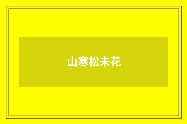 山寒松未花