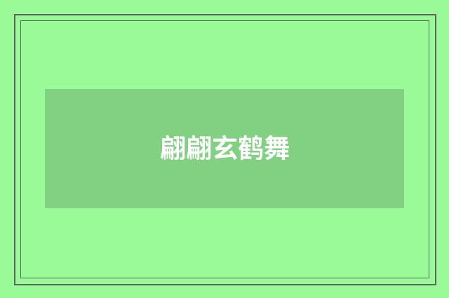 翩翩玄鹤舞