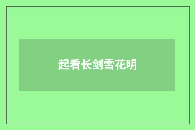起看长剑雪花明