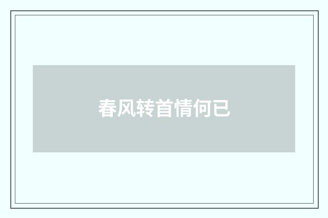 春风转首情何已