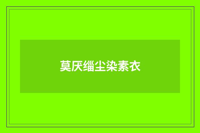 莫厌缁尘染素衣