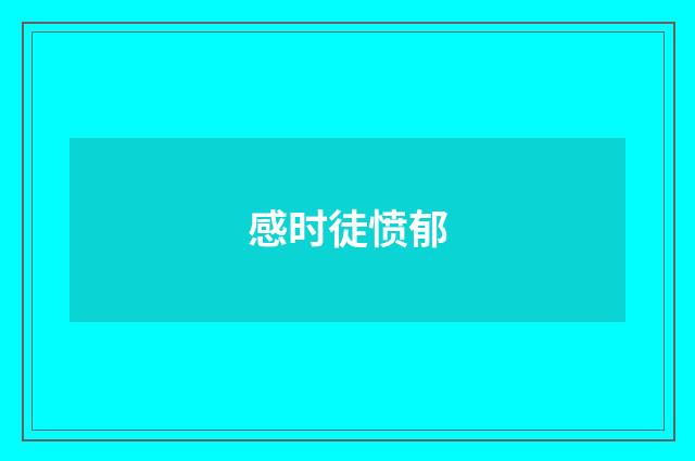 感时徒愤郁
