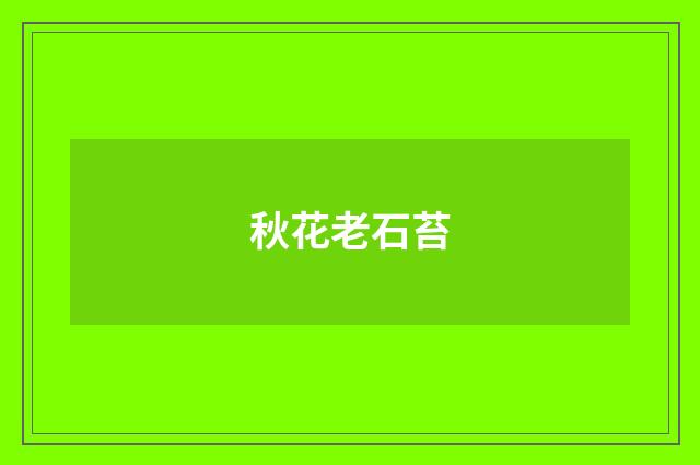 秋花老石苔