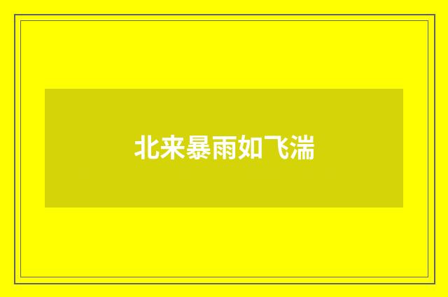 北来暴雨如飞湍
