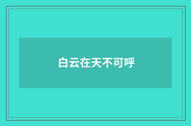 白云在天不可呼
