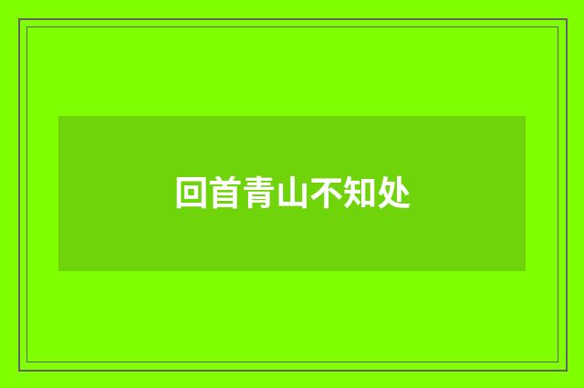 回首青山不知处