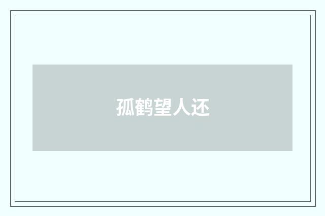 孤鹤望人还