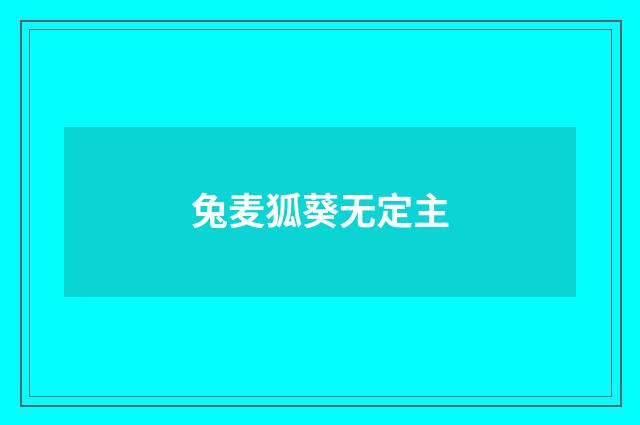 兔麦狐葵无定主