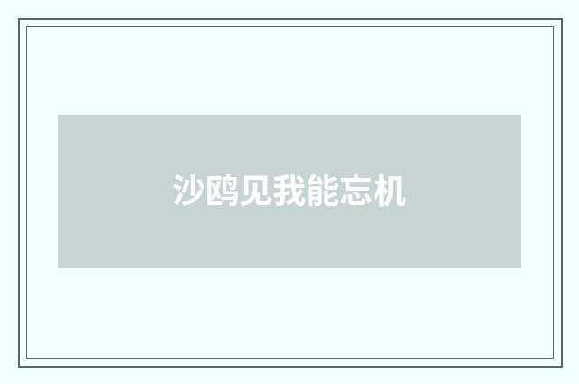 沙鸥见我能忘机