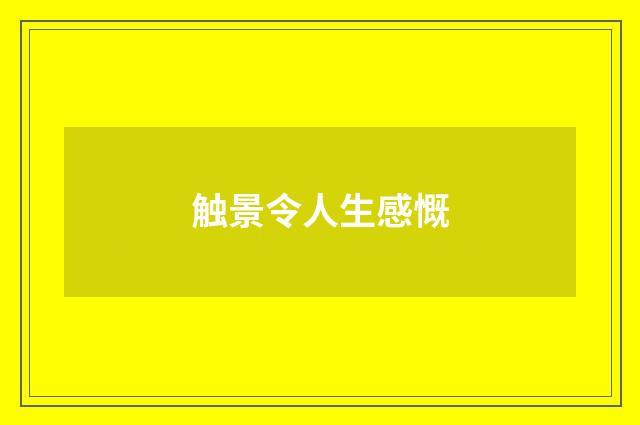 触景令人生感慨